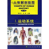 人體解剖掛圖-運(yùn)動(dòng)系統(tǒng) 心肺復(fù)蘇模型