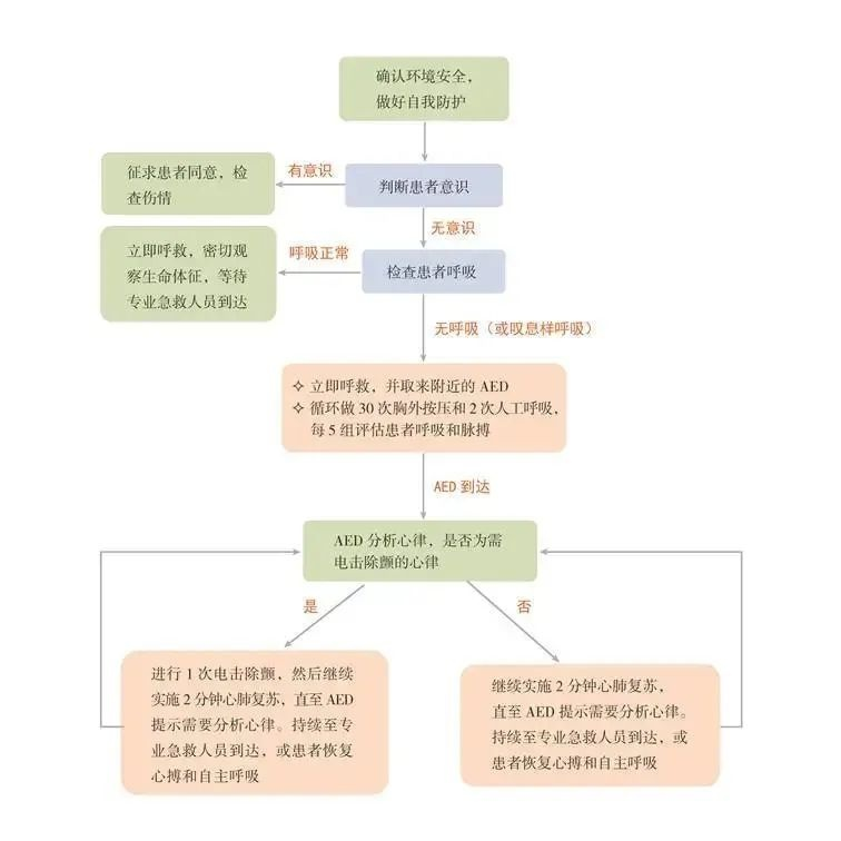 醫(yī)學教學模型